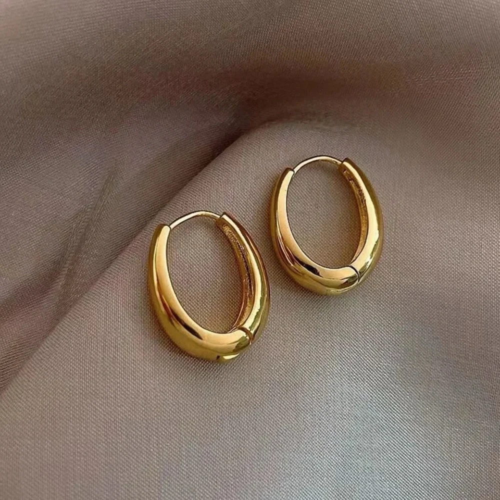 Trendy Oval Geometric Earrings in Gold & Silver Color - Picture 1 of 9